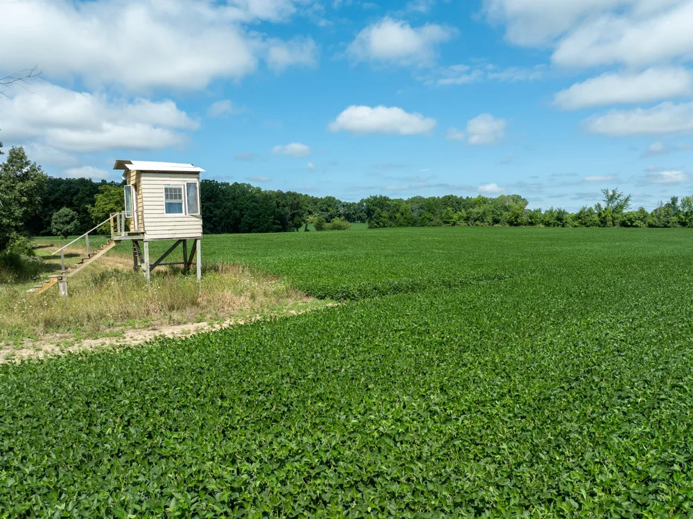 8070 Arkona Road Saline Township, MI 49236