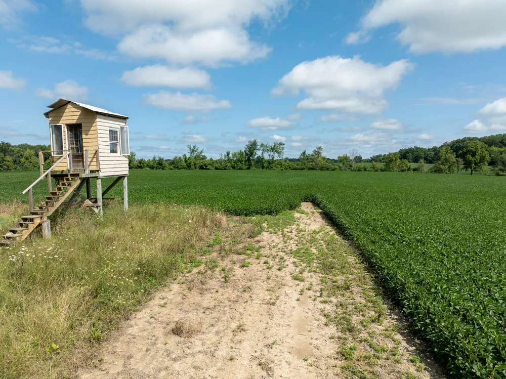 8070 Arkona Road Saline Township, MI 49236