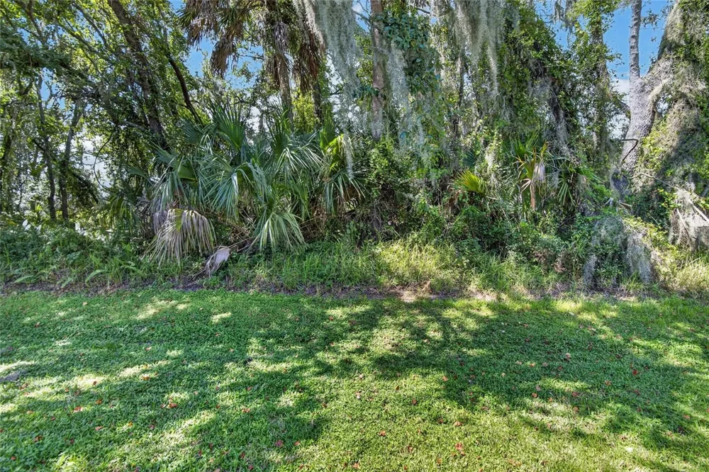 15768 FISHHAWK FALLS DRIVE Lithia, FL 33547