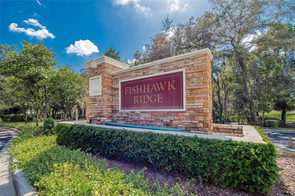 15768 FISHHAWK FALLS DRIVE Lithia, FL 33547