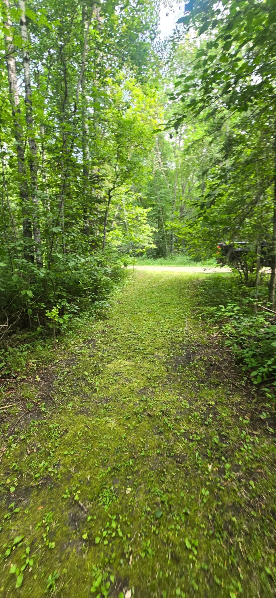 17365 E Pine Drive NW Angle Inlet, MN 56711