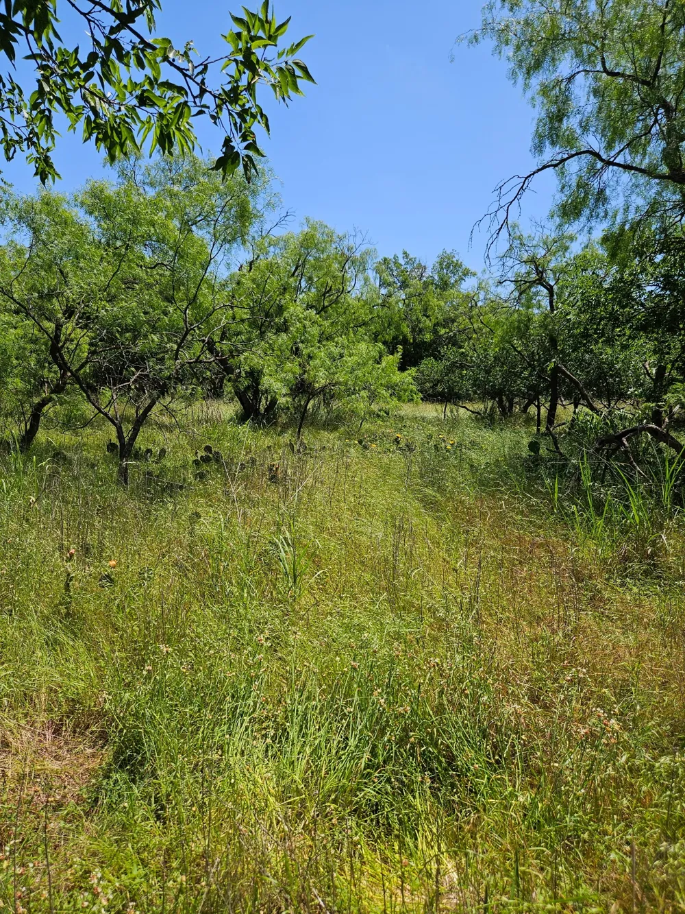 404 HIGHWAY 6 Cisco, TX 76437