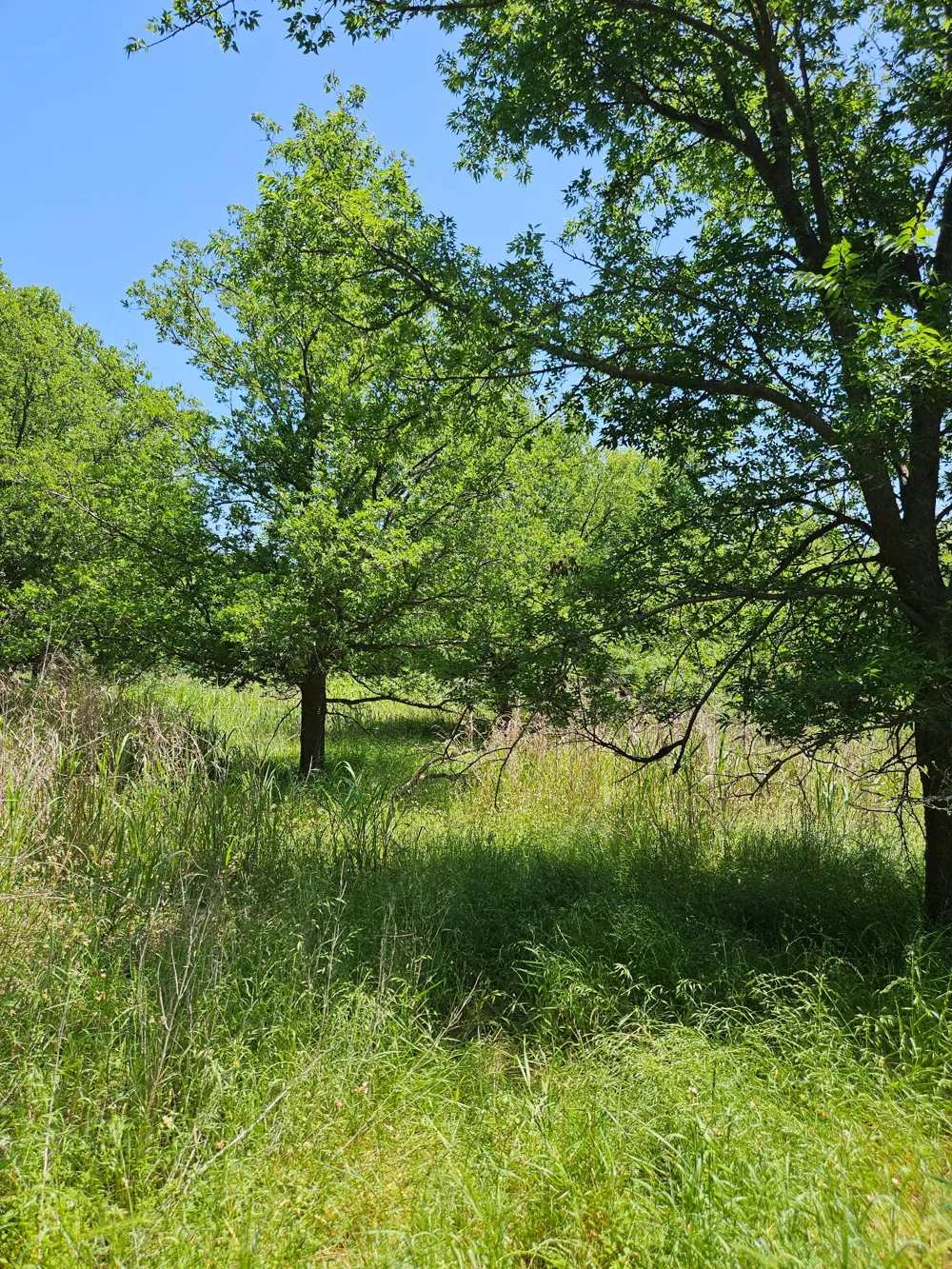 404 HIGHWAY 6 Cisco, TX 76437