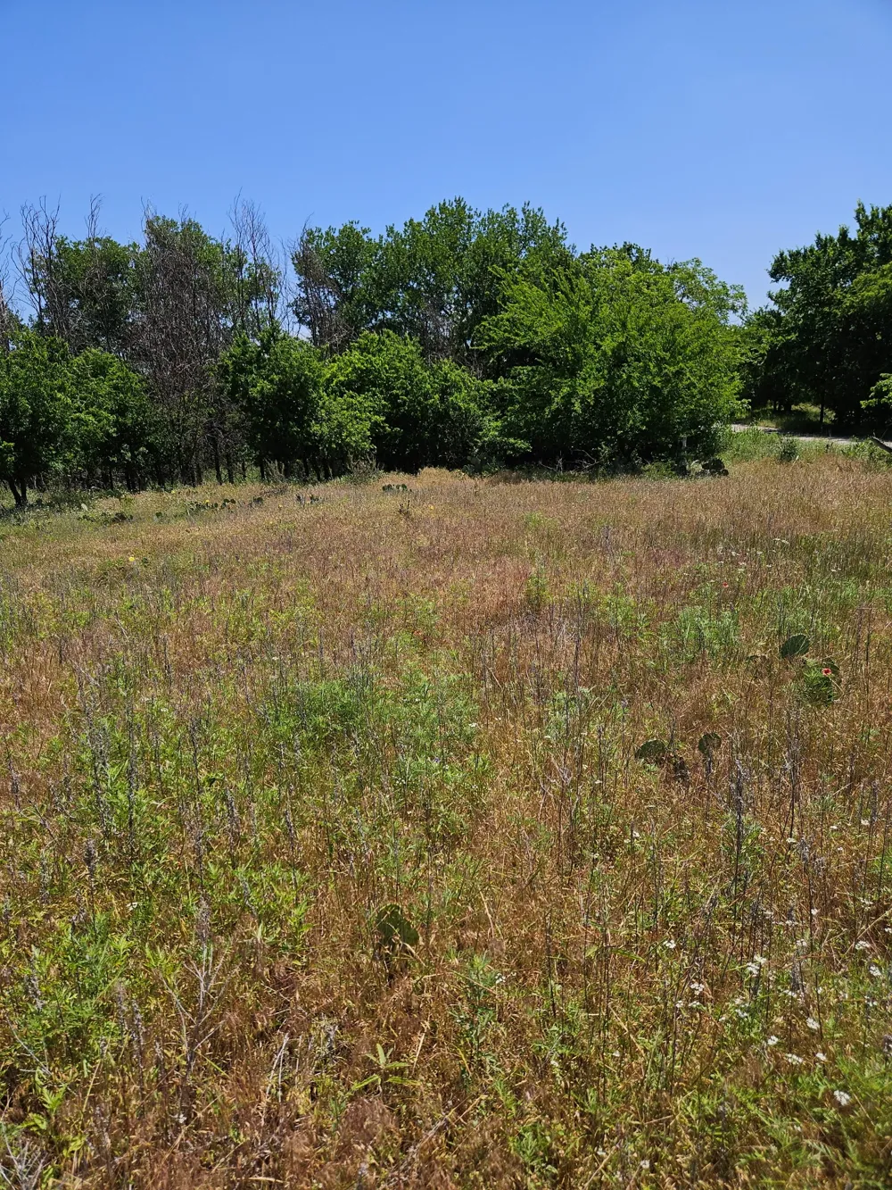 404 HIGHWAY 6 Cisco, TX 76437