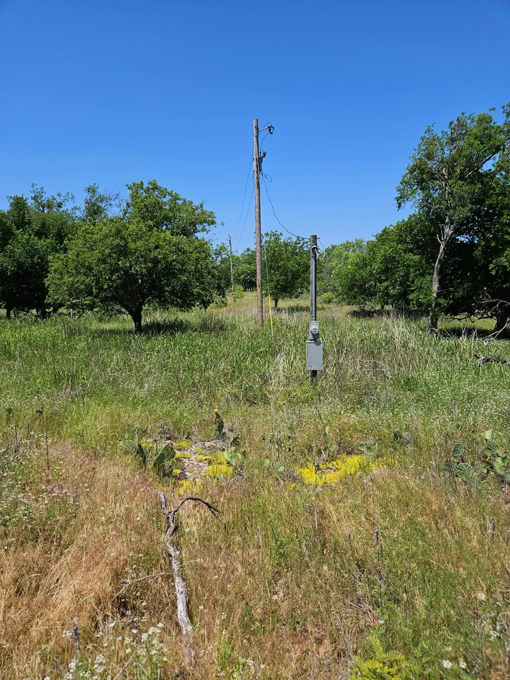 404 HIGHWAY 6 Cisco, TX 76437