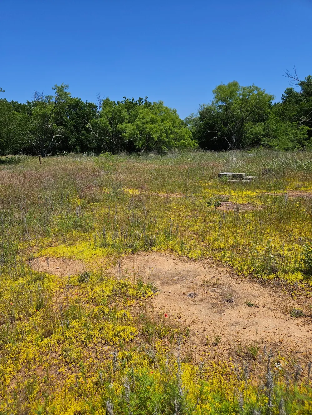 404 HIGHWAY 6 Cisco, TX 76437