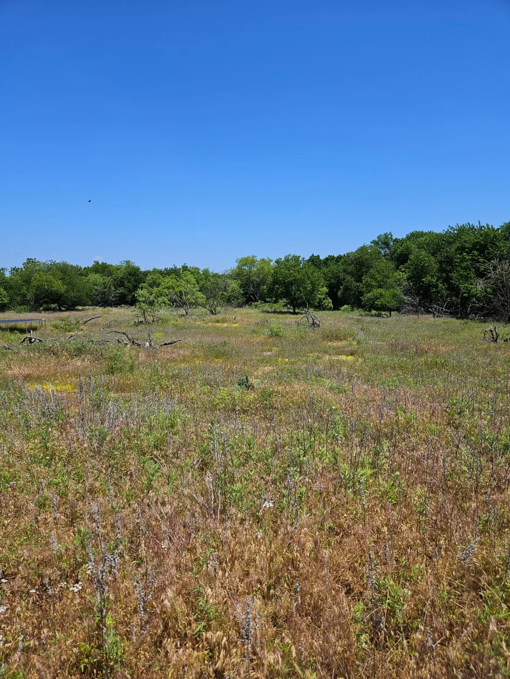 404 HIGHWAY 6 Cisco, TX 76437