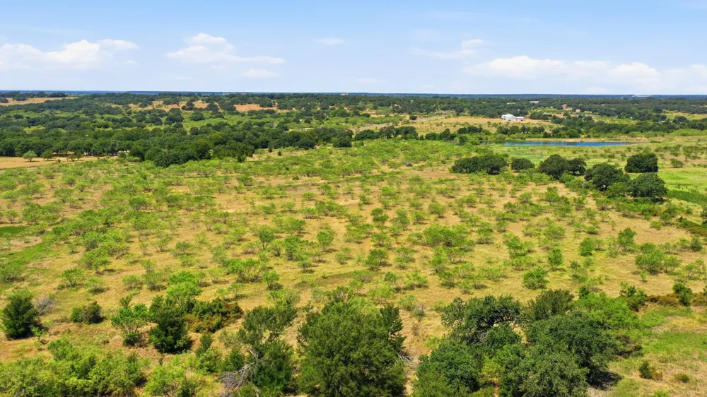 260 CR 366 #Tract 8 Gorman, TX 76454