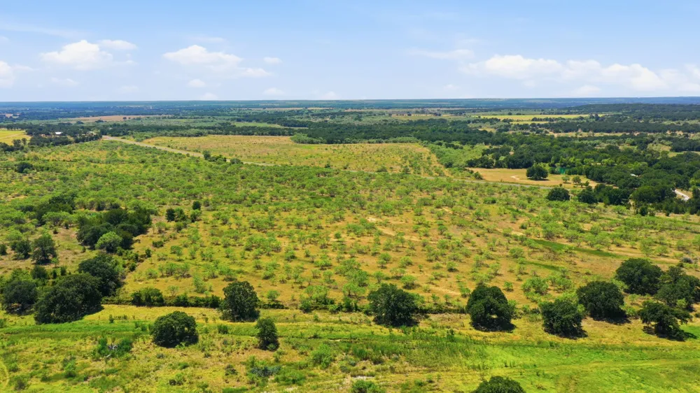 260 CR 366 #Tract 8 Gorman, TX 76454