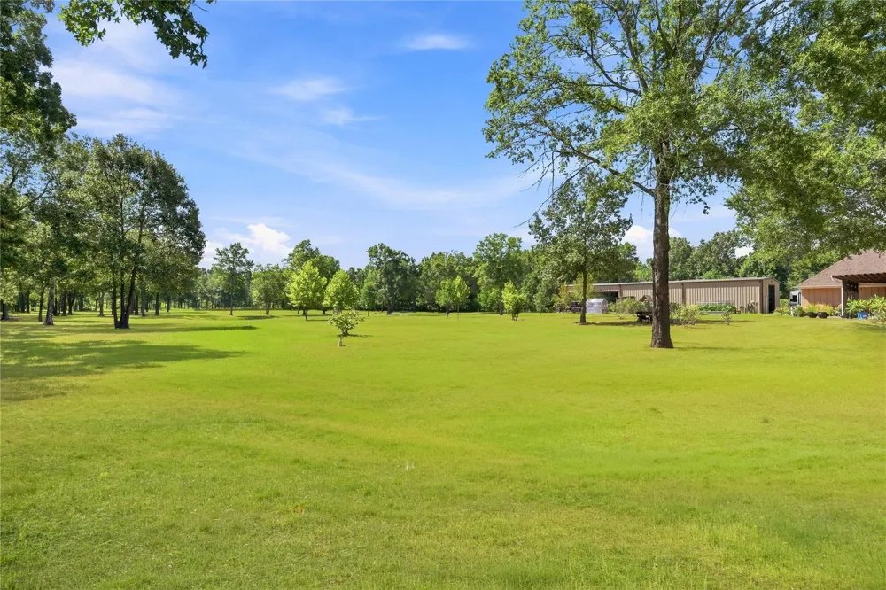 1035 Fm 3277 Livingston, TX 77351