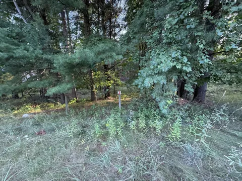 16313 Mitchell Creek Trail