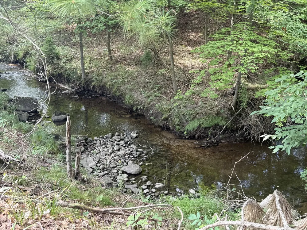 16313 Mitchell Creek Trail Big Rapids, MI 49307