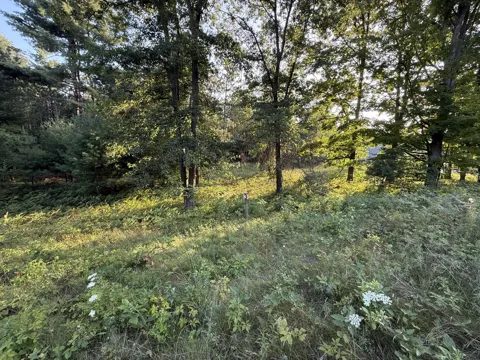 16345 Mitchell Creek Trail