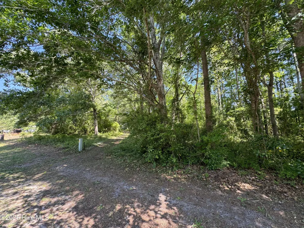 2213 Forest Drive SW Supply, NC 28462