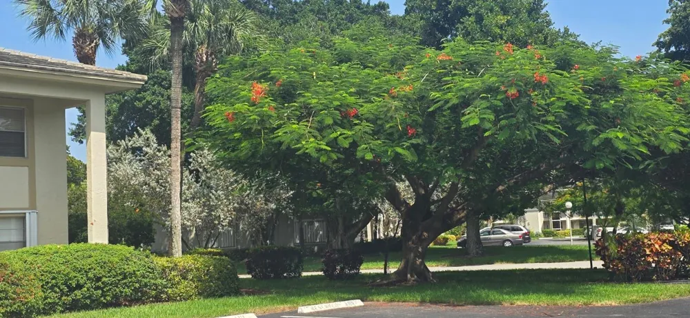 2601 NASSAU Bend #E1 Coconut Creek, FL 33066