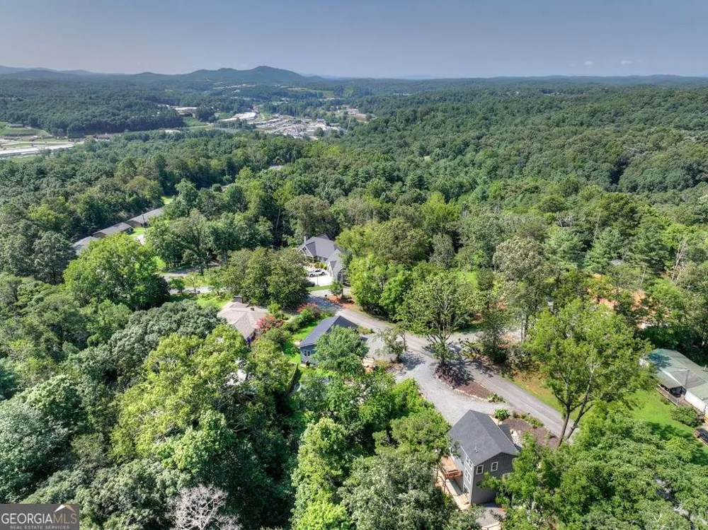 239 Lucille AVE Ellijay, GA 30540