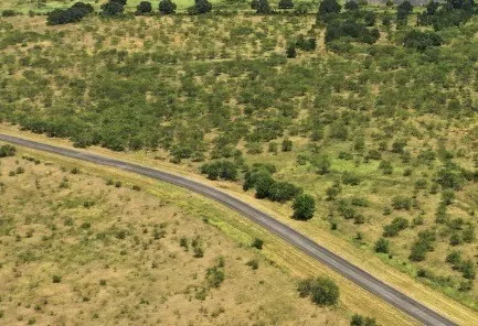 260 CR 366 #Tract 9 Gorman, TX 76454