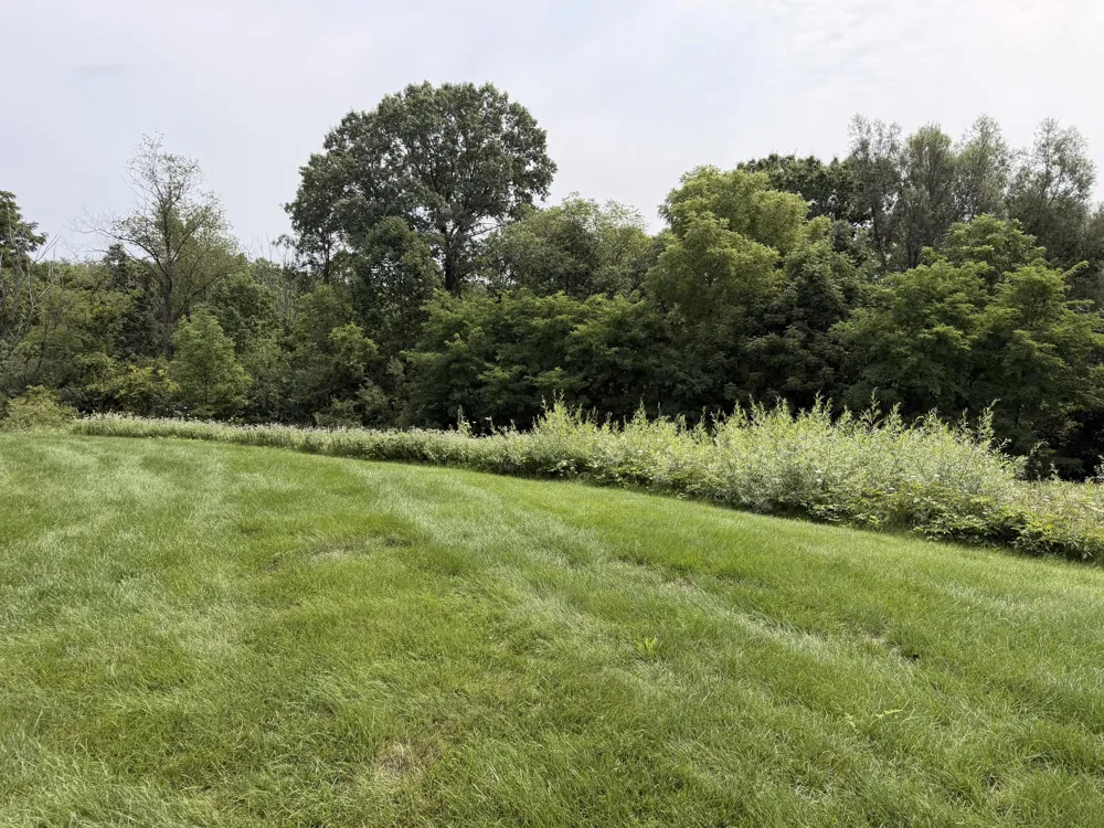 1918 Dunlin Court NE Grand Rapids, MI 49505