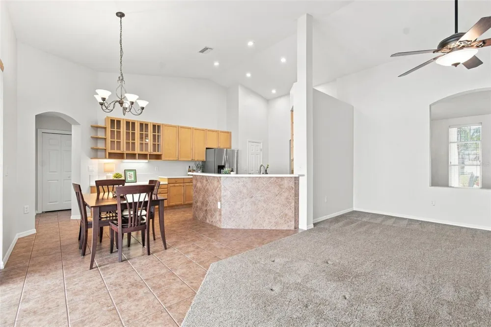 10260 SHADOW BRANCH DRIVE Tampa, FL 33647