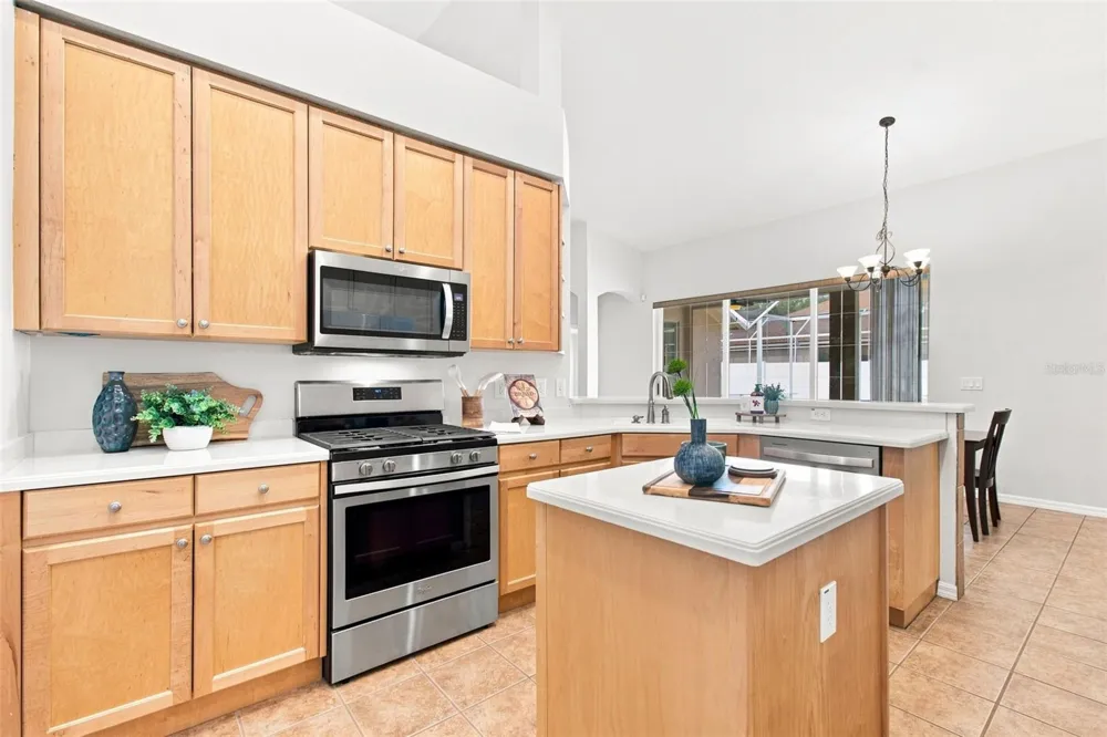 10260 SHADOW BRANCH DRIVE Tampa, FL 33647