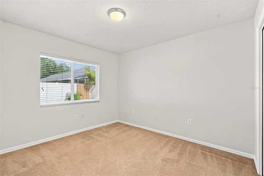 10260 SHADOW BRANCH DRIVE Tampa, FL 33647