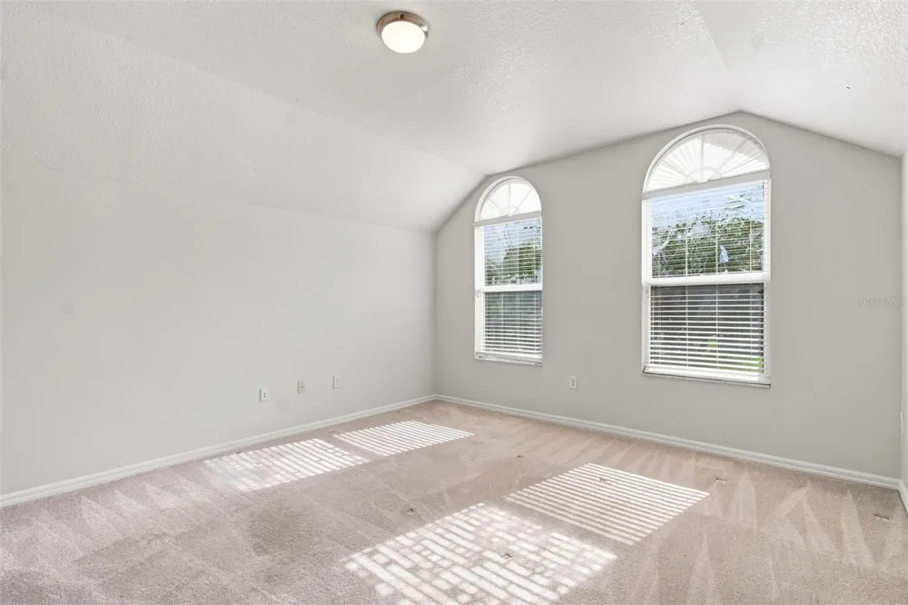 10260 SHADOW BRANCH DRIVE Tampa, FL 33647