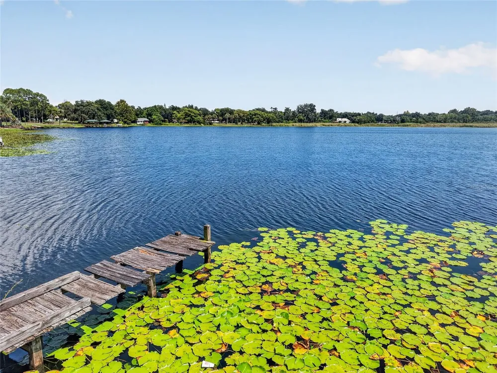 16018 DORA AVENUE Tavares, FL 32778