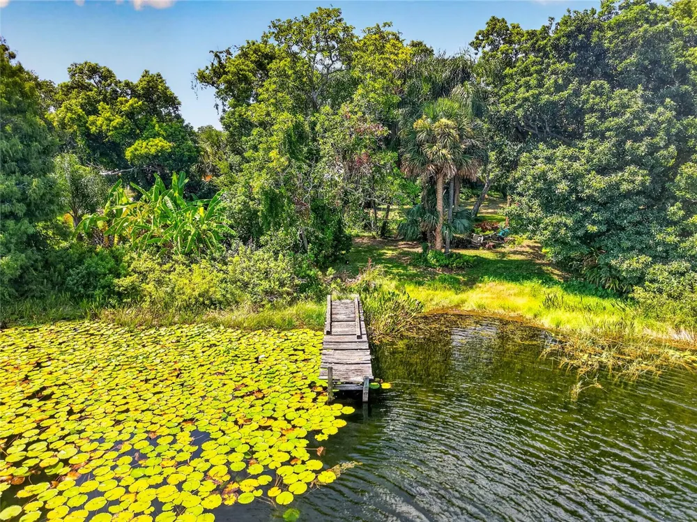 16018 DORA AVENUE Tavares, FL 32778