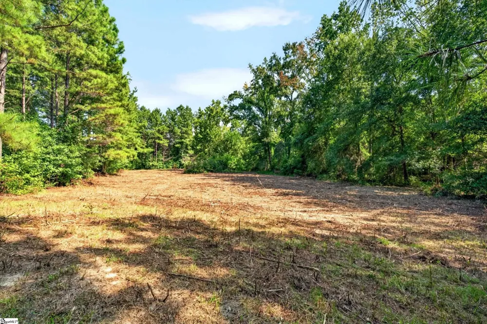 00 Todd Road Honea Path, SC 29654