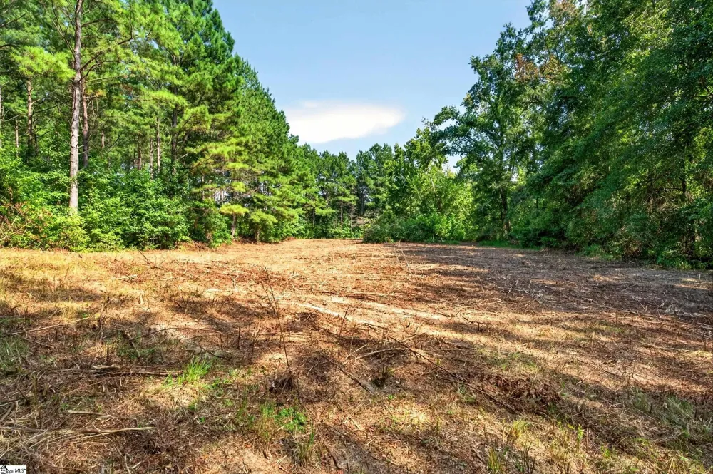 00 Todd Road Honea Path, SC 29654