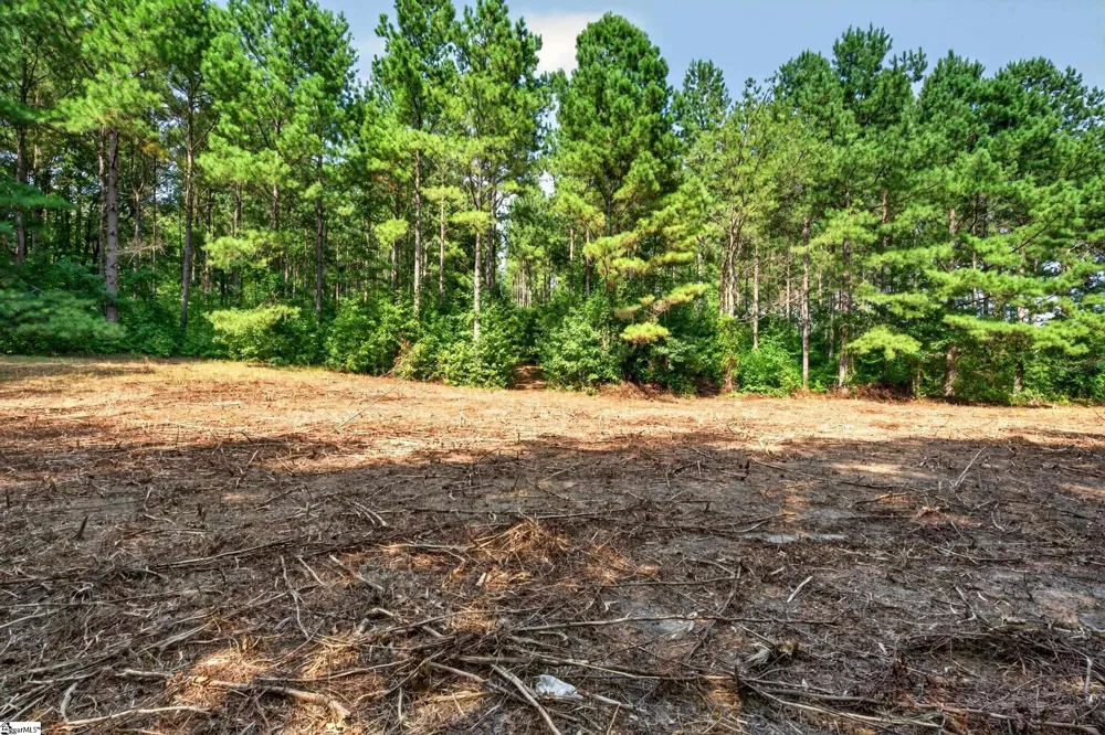 00 Todd Road Honea Path, SC 29654