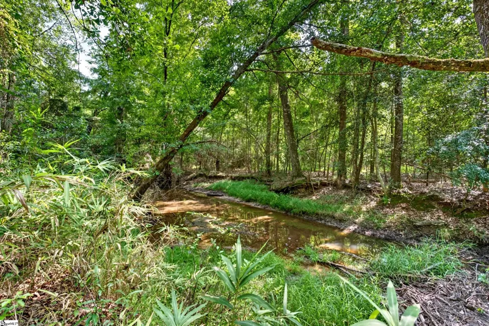 00 Todd Road Honea Path, SC 29654