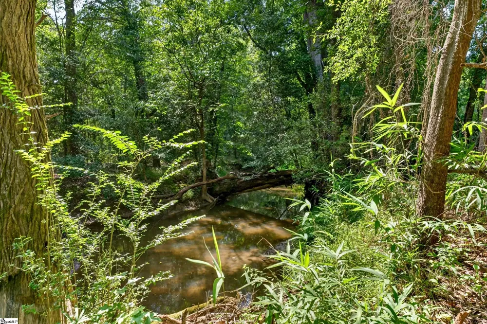 00 Todd Road Honea Path, SC 29654