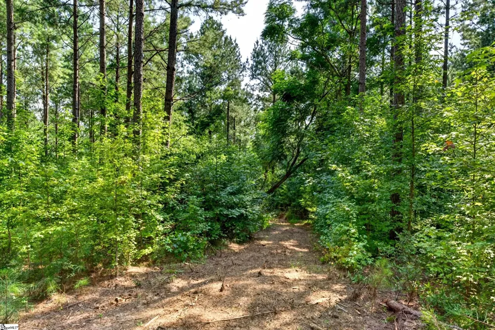 00 Todd Road Honea Path, SC 29654