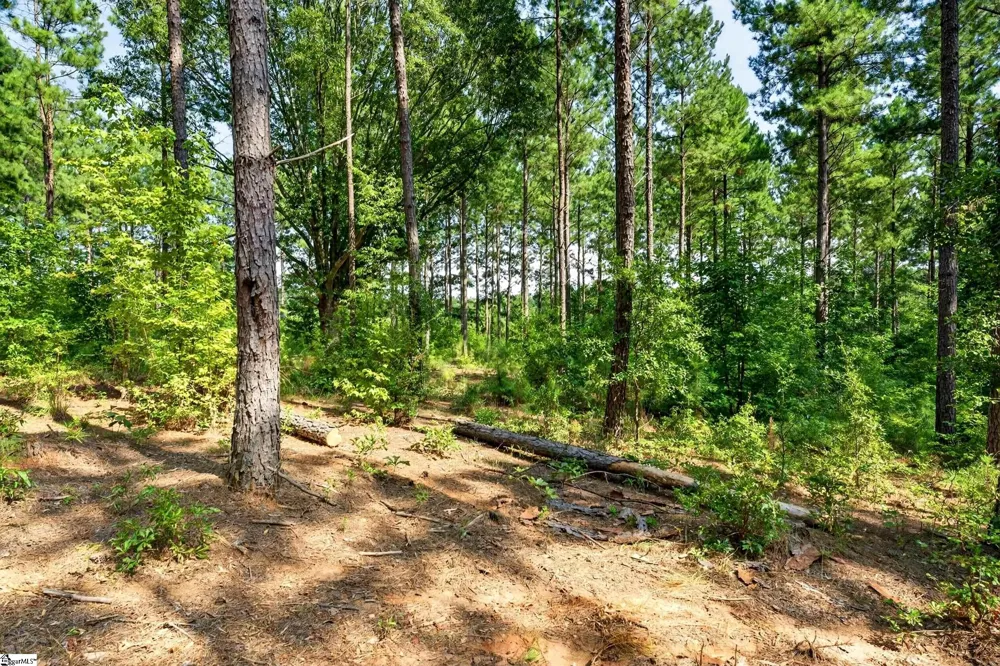 00 Todd Road Honea Path, SC 29654