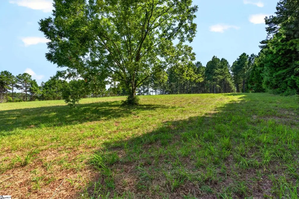 00 Todd Road Honea Path, SC 29654