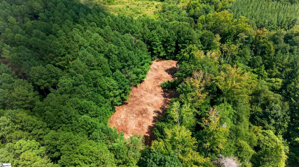 00 Todd Road Honea Path, SC 29654
