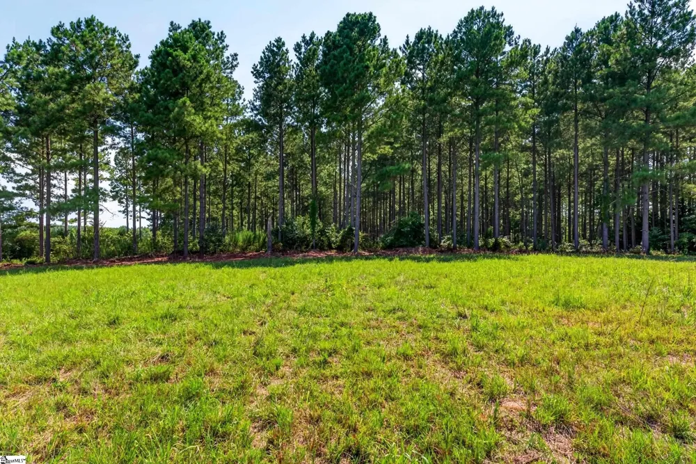 00 Todd Road Honea Path, SC 29654