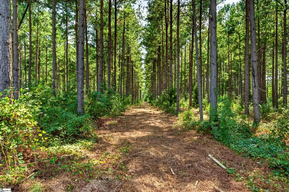 00 Todd Road Honea Path, SC 29654