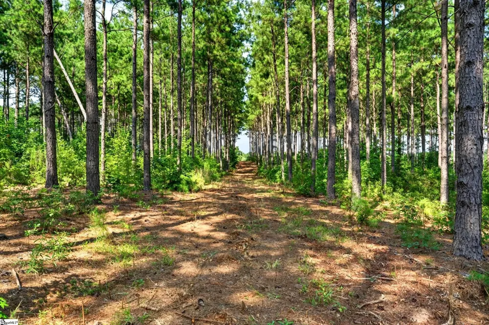 00 Todd Road Honea Path, SC 29654