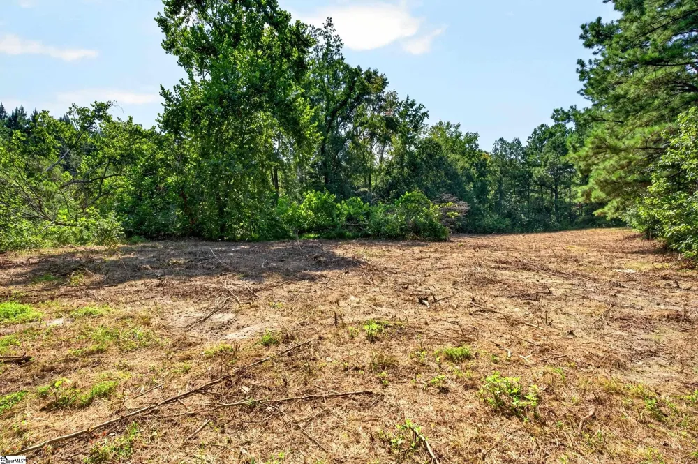 00 Todd Road Honea Path, SC 29654