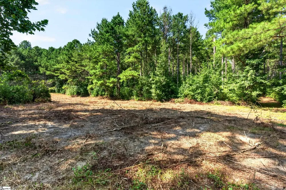 00 Todd Road Honea Path, SC 29654