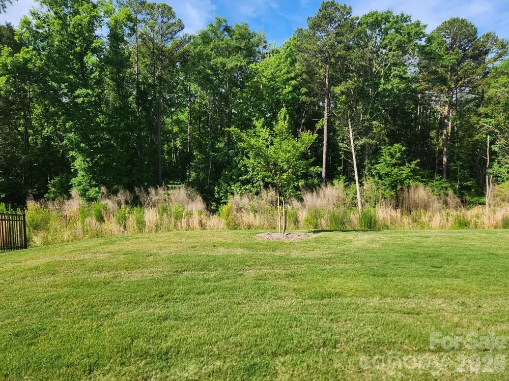 3849 Horsham Street Indian Land, SC 29707