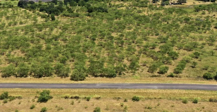 260 CR 366 #Tract 11 Gorman, TX 76454