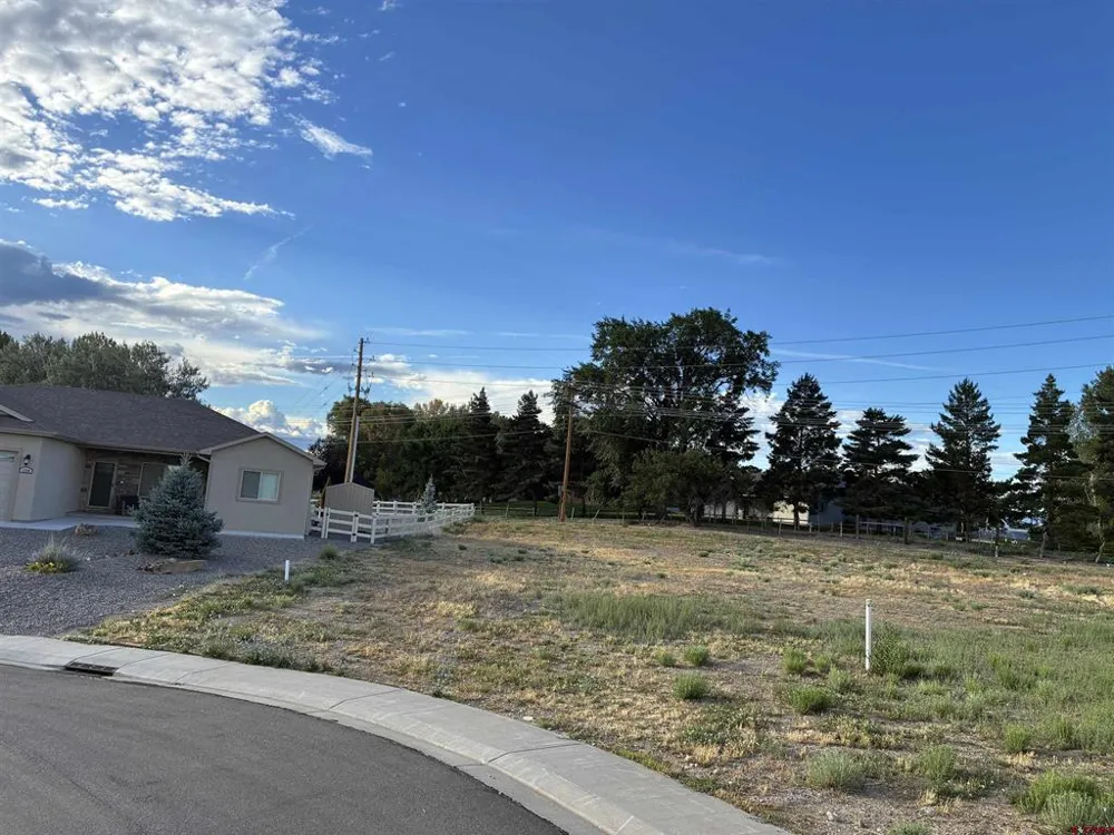 Keller Court Montrose, CO 81401