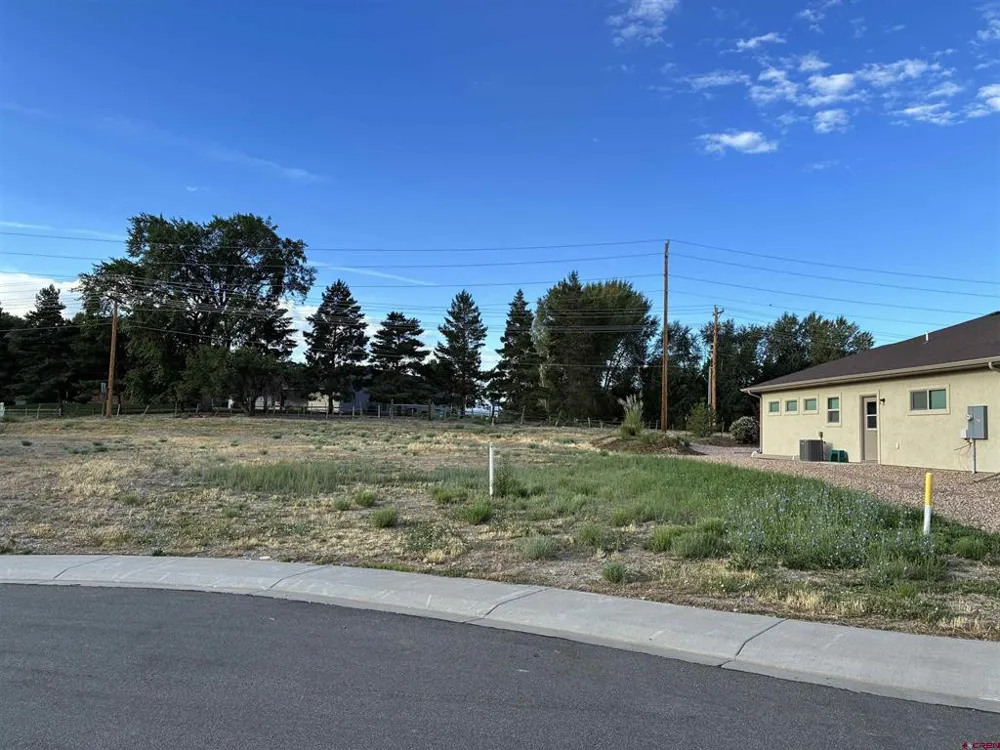 Keller Court Montrose, CO 81401