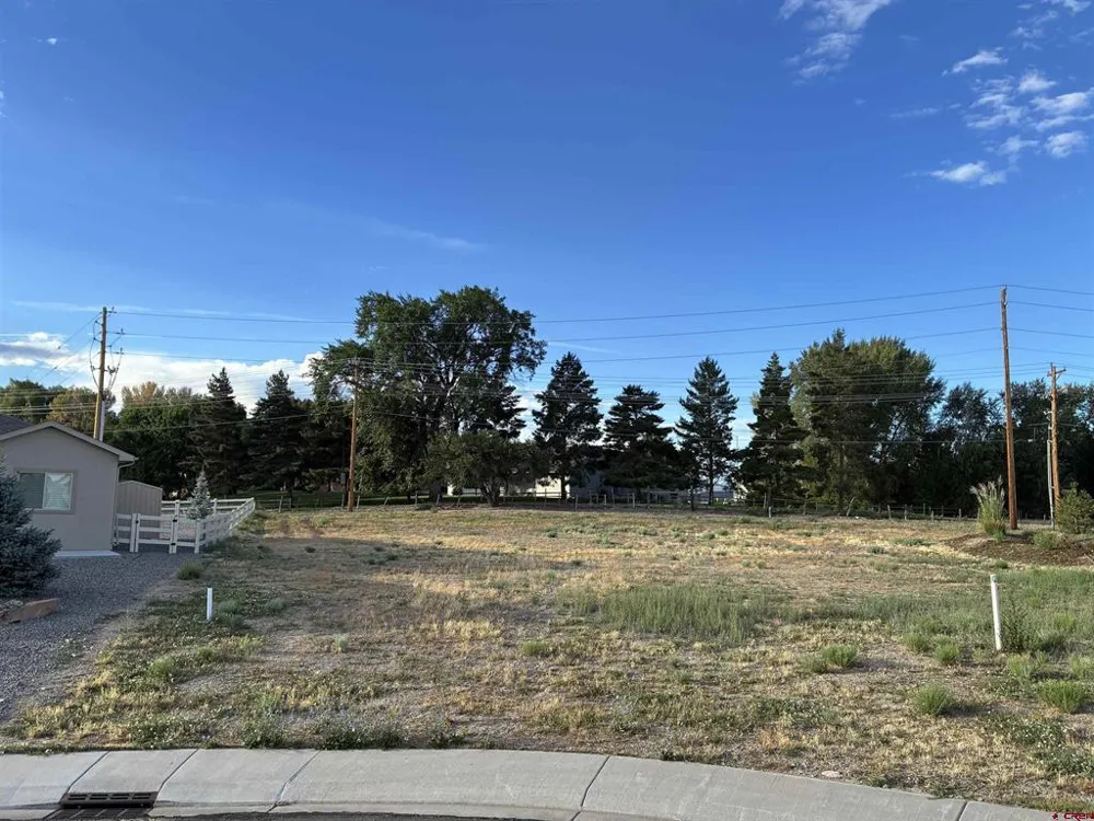 Keller Court Montrose, CO 81401