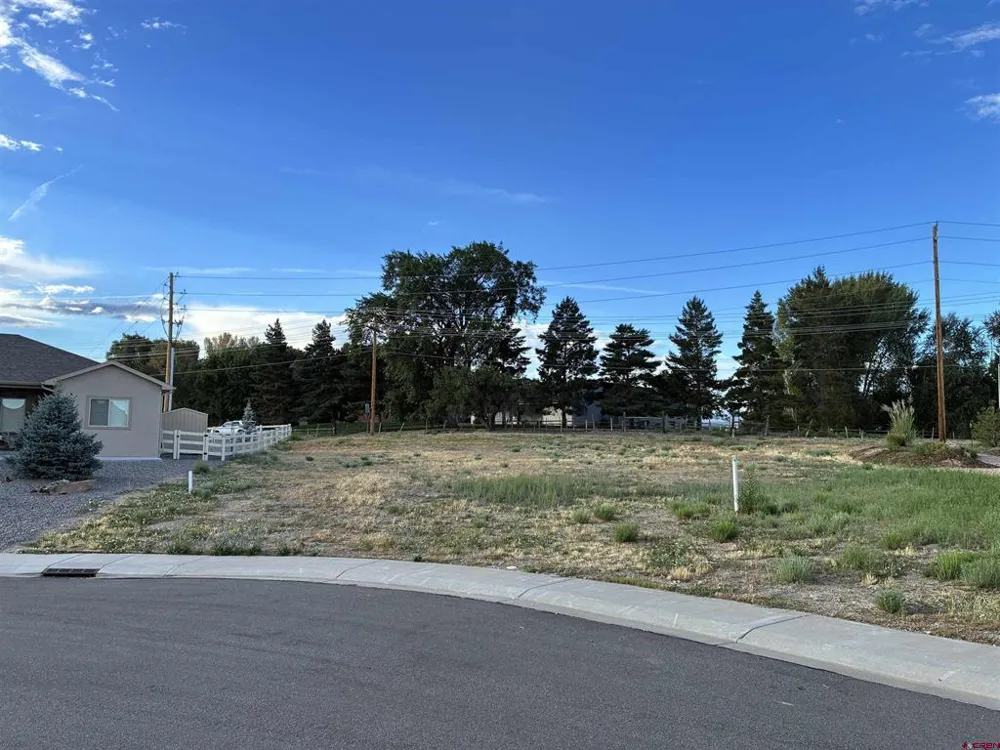 Keller Court Montrose, CO 81401