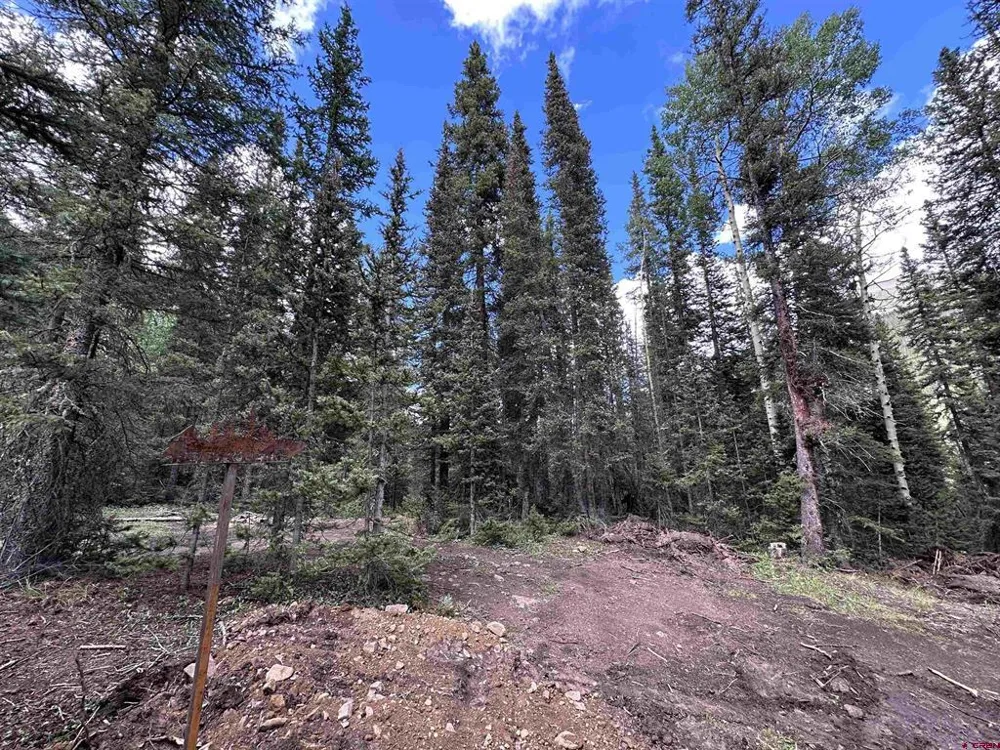 2 Overland Estates, CR 110 Silverton, CO 81433