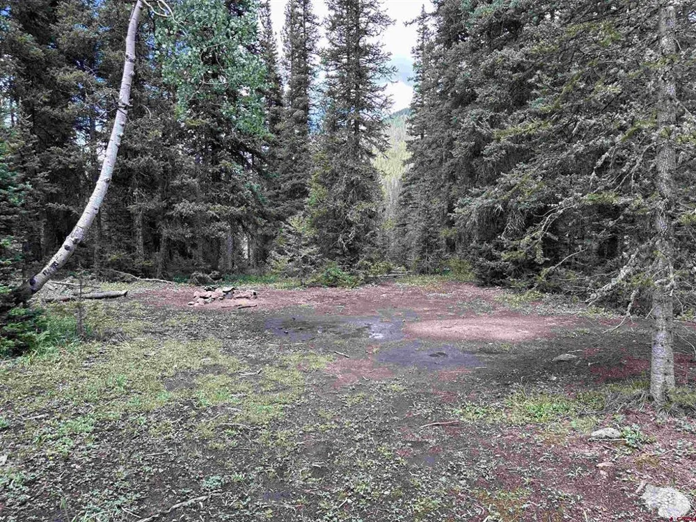 2 Overland Estates, CR 110 Silverton, CO 81433